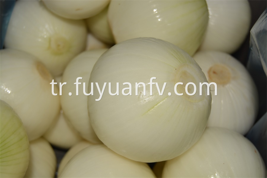 Yellow Peeled Onion